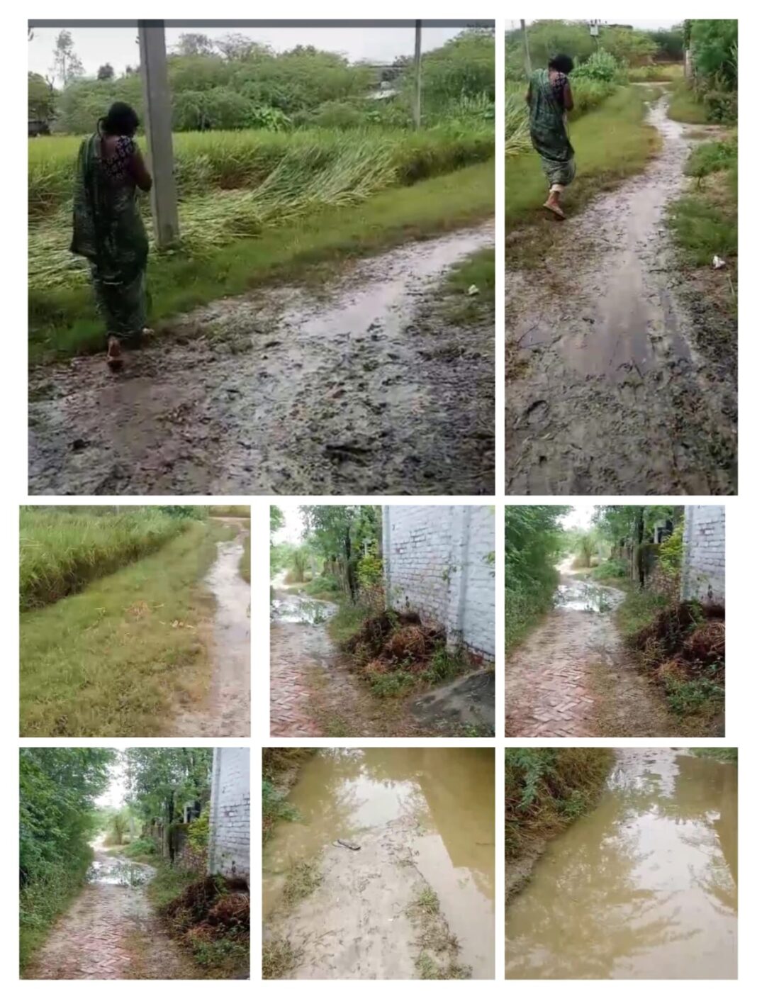 WhatsApp Image 2025-10-31 at 3.58.36 PM (1)